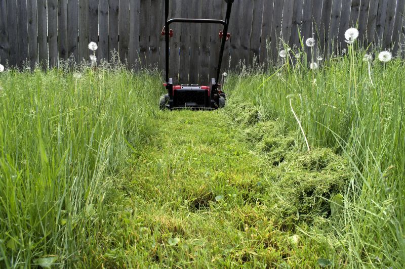 Mowing Techniques