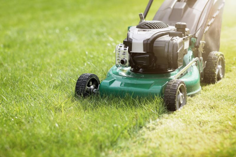 Summer Lawn Maintenance