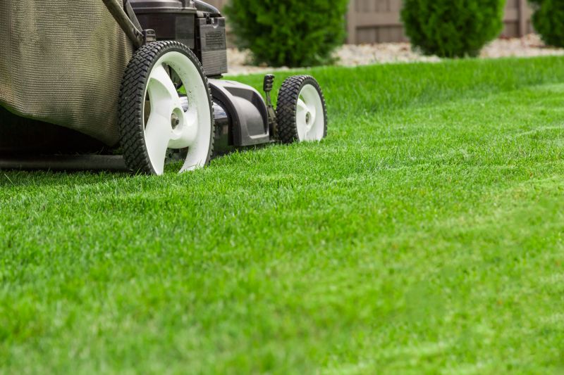 Lawn Care Maintenance